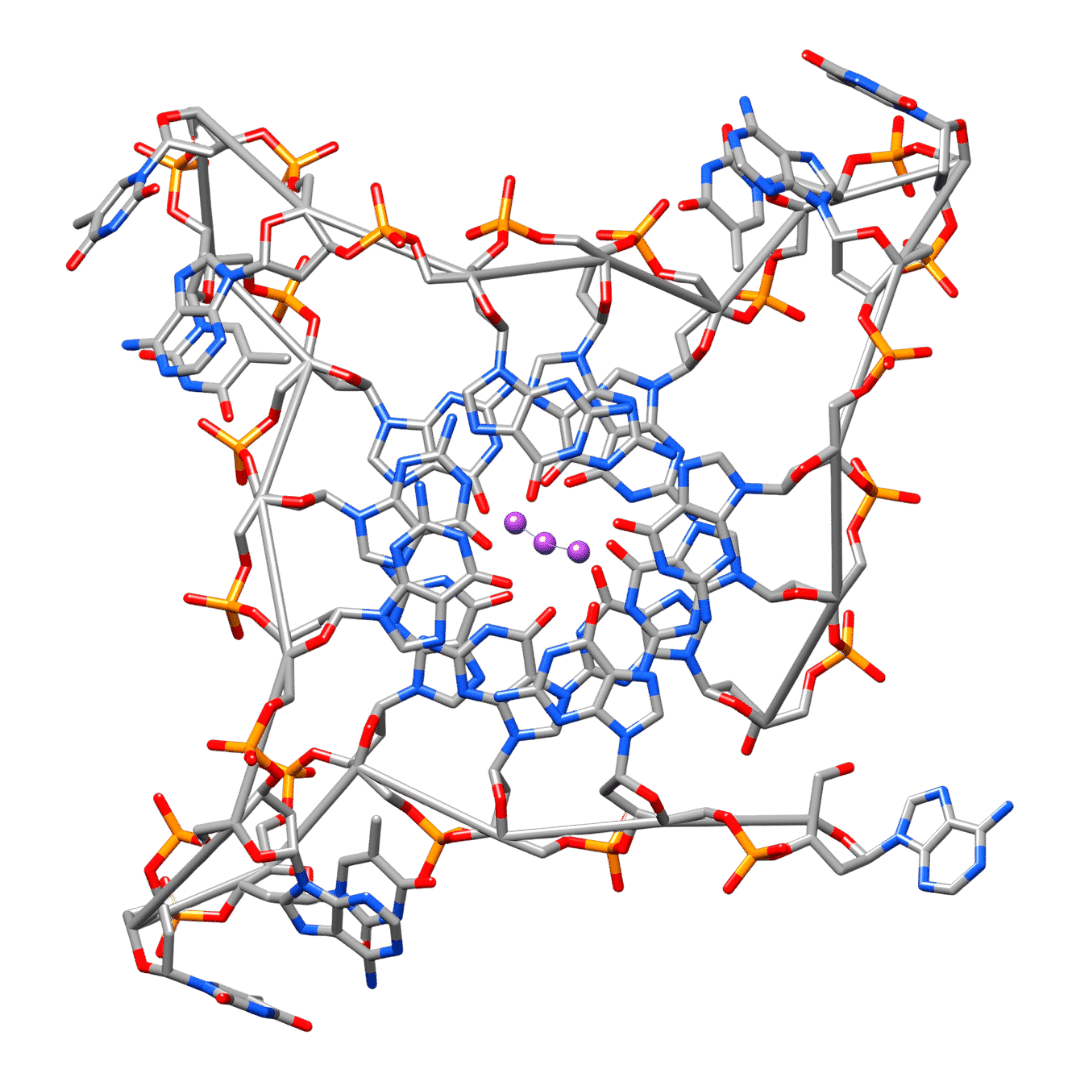 DNA telomery test